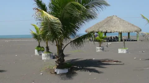 Guatemala Beach Stock Footage 11354780