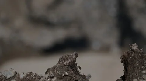 Guatemala Dump Stock Footage 61158079