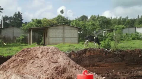 Guatemala Farm 1 Video stock 11354892