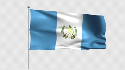 Guatemala flag - Pack 1 Stock Footage 339369561