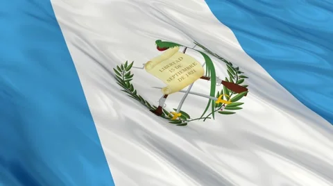 Guatemala flag Seamless Vídeo Stock 49086789