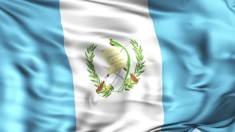 Guatemala Waving Flag Background 스톡 동영상 204133608