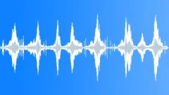 Guatemalan Black Howler Monkey Sound Effect