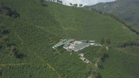 Guatemalan Cloud Forest Coffee Plantations – Aerial Shot Vídeo Stock 306717802