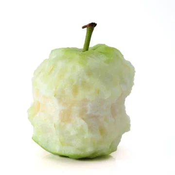 Guava eating Foto stock