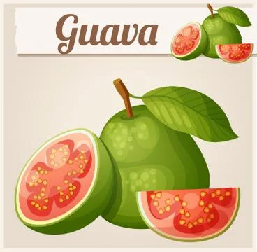 Guava fruit. Cartoon vector icon Stock Illustration