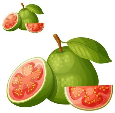Guava fruit. Cartoon vector icon isolated Stock Illustration