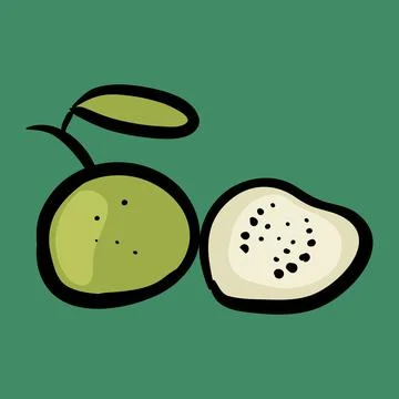 Guava fruit clip art vector illustration Stock Illustration