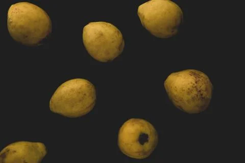 Guava fruit close up Stock Photos