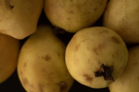 Guava fruit close up Stock Photos