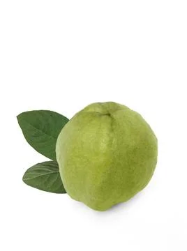 Guava fruit isolated on white background. Stock Photos