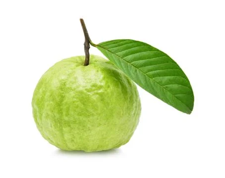 Guava fruit isolated on white background. Stock Photos