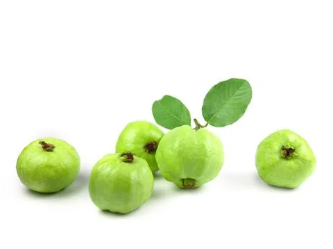 Guava fruit with leaf on white background isolate. Agriculture food. Green fr Stock Photos