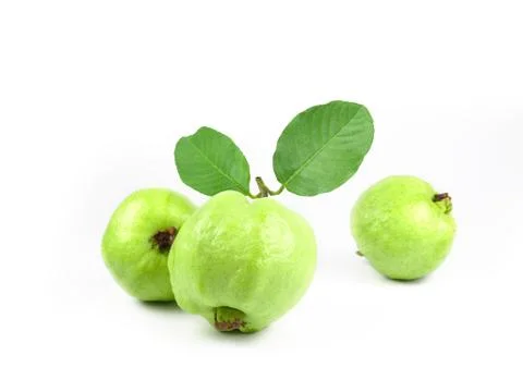 Guava fruit with leaf on white background isolate. Agriculture food. Green fr Stock Photos