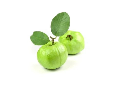 Guava fruit with leaf on white background isolate. Agriculture food. Green fr Stock Photos