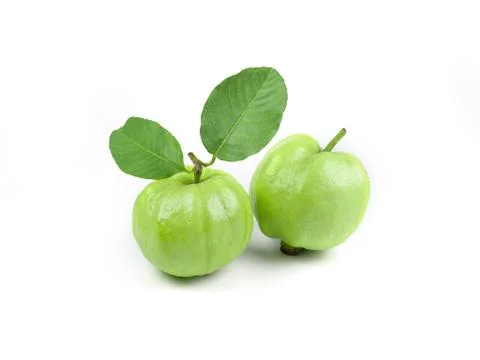 Guava fruit with leaf on white background isolate. Agriculture food. Green fr Stock Photos