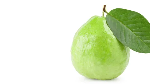 Guava fruit with leaves on a white background. panning motion. Stock Footage 145484289
