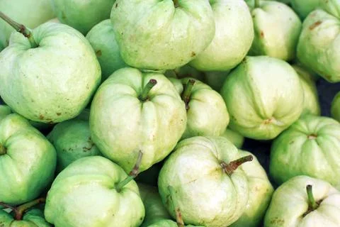 Guava fruit Stock Photos