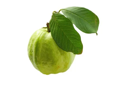 Guava fruit Stock Photos