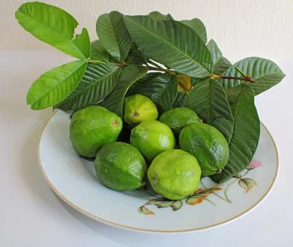 Guava fruit Stock Photos