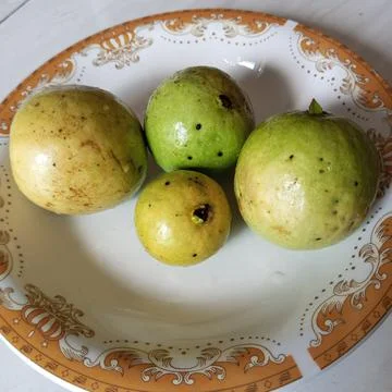 Guava fruit Stock Photos