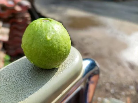 Guava fruit Stock Photos