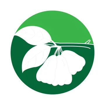 Guava icon Stock Illustration