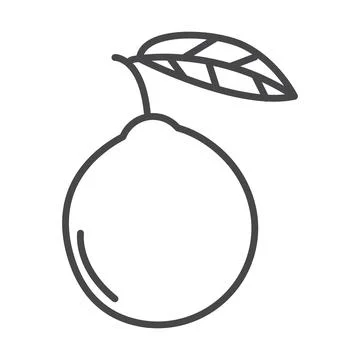 Guava icon line art vector Illustrazione stock