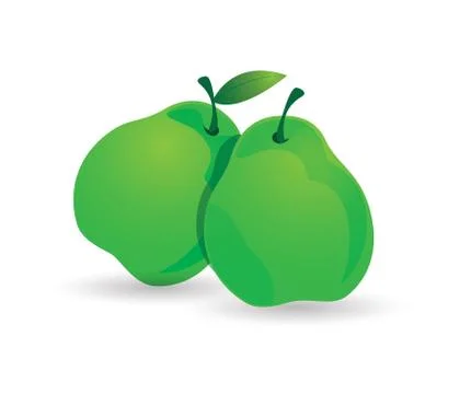 Guava Stock Illustration