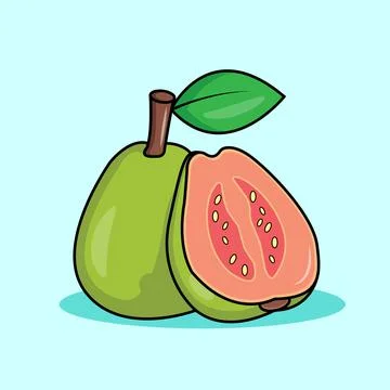 Guava Stock Illustration