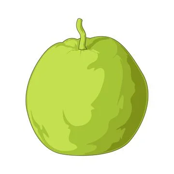 Guava illustration Stock Illustration
