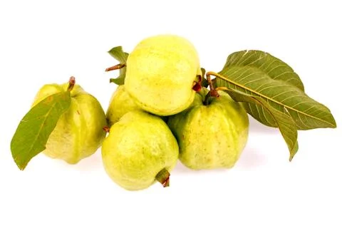 Guava in isolated on white background Stock Photos