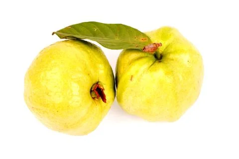 Guava in isolated on white background Stock Photos