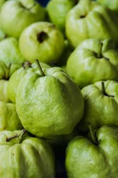 Guava Stock Photos
