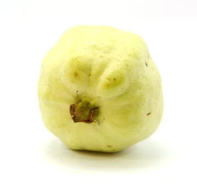 Guava Stock Photos