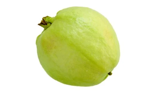 Guava. Stock Photos