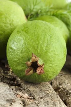 Guava Stock Photos