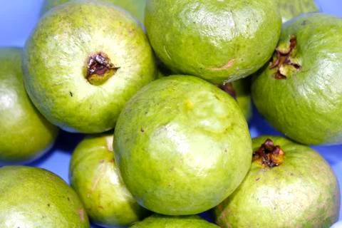 Guava Stock Photos