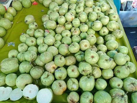 Guava Stock Photos