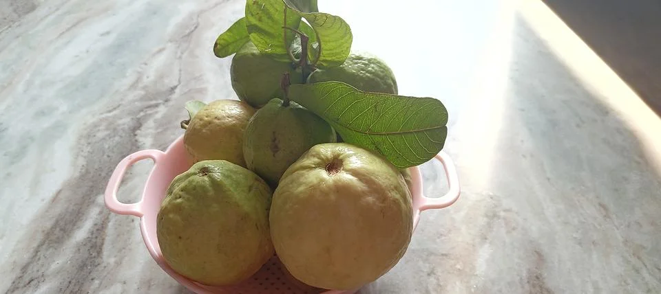 Guava Stock Photos