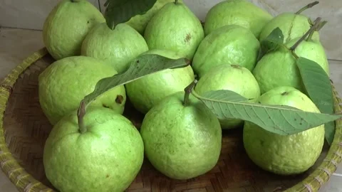 Guavas in the basket 库存影片 328498503