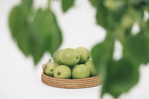Guavas on the white background Stock Photos
