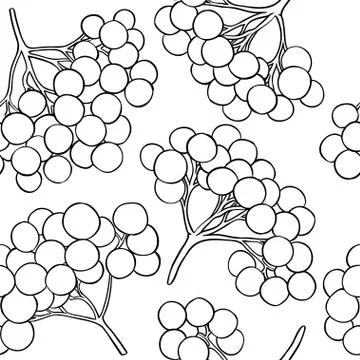 Guelder rose vector pattern Stock Illustration