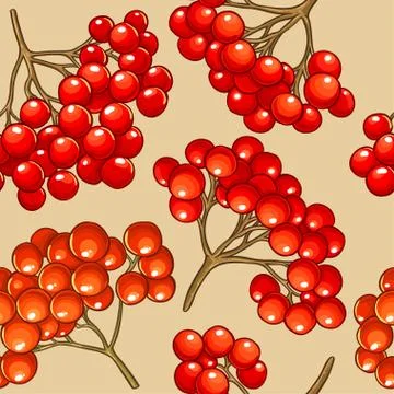 Guelder rose vector pattern 스톡 일러스트