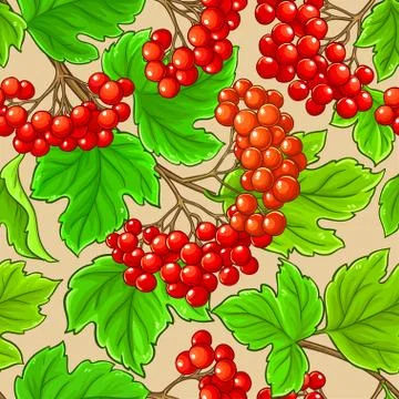 Guelder rose vector pattern Illustrazione stock
