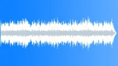 Guest House Blues (melodeon instrumental) (2)Stock Music