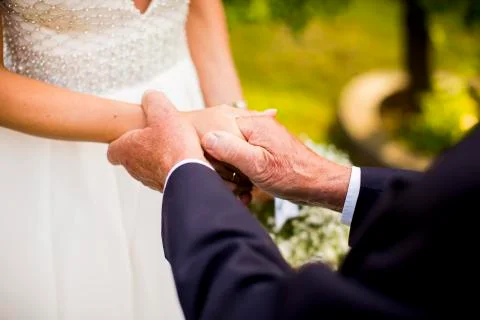 Guests congratulate to the bride Stock Photos
