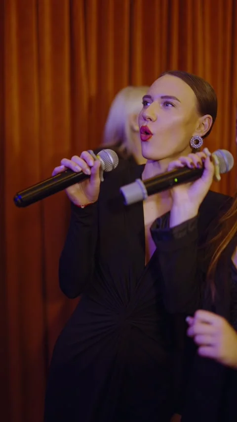 Guests dance and sing at the Ferienpark Hotel. Stock Footage 331649427