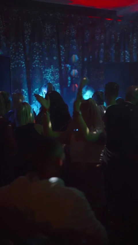 Guests dance and sing at the Ferienpark Hotel. Stock Footage 331868641