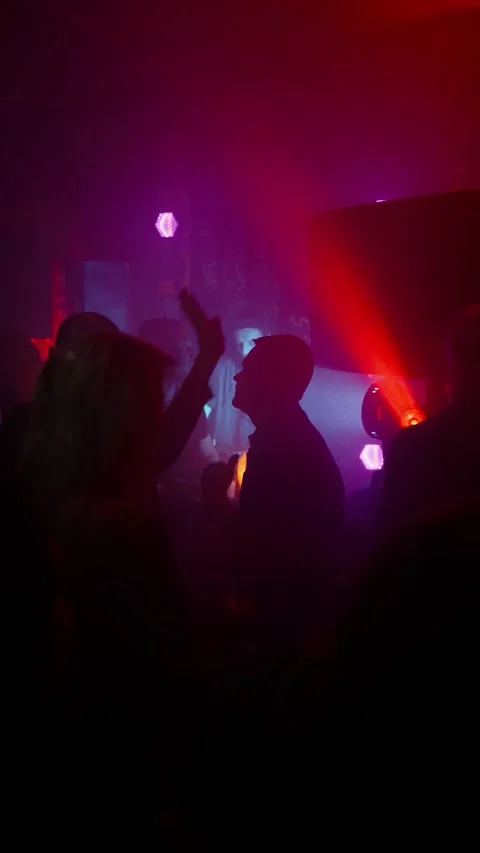 Guests dance and sing at the Ferienpark Hotel. Stock Footage 331869985